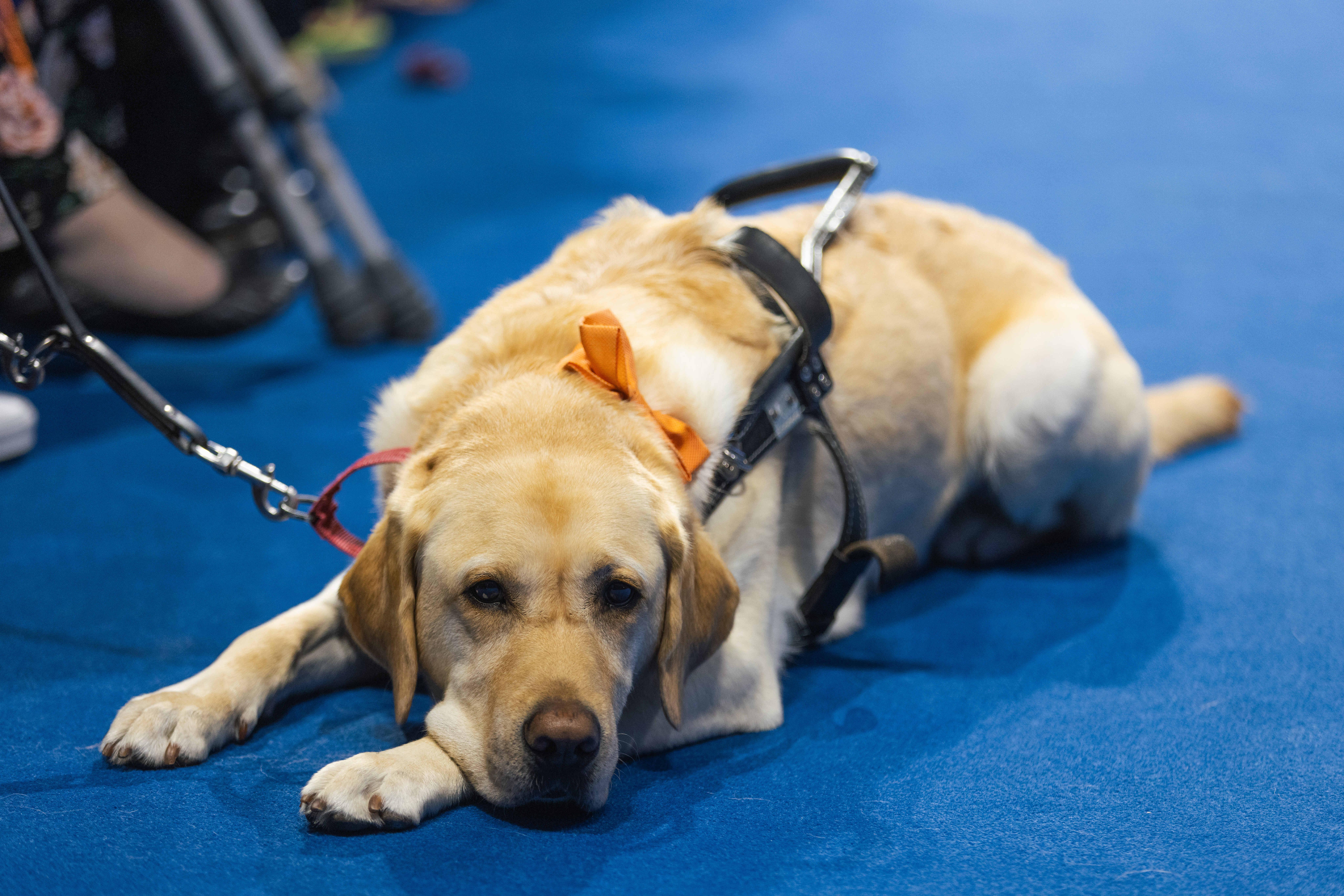 Disability Resource Center